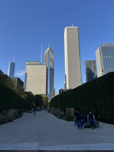 Chicago skyscrapers under a clear blue sky